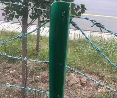 刺铁丝.jpg