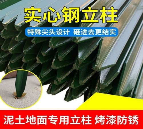 刺丝立柱.jpg